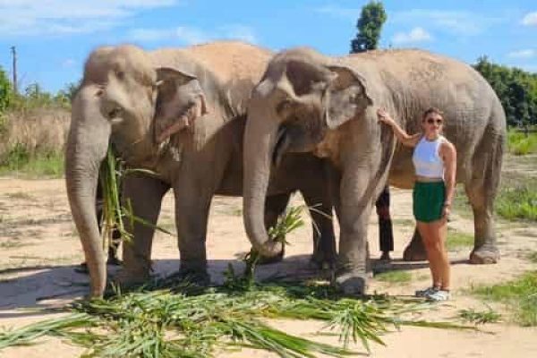 Luxury Elephant Sanctuary & Cambodian Countryside Sunset Experience (Kampung Kleang)